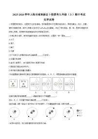 2025-2026学年上海市浦东新区十校联考九年级（上）期中化学试卷（含答案）