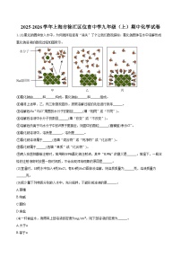2025-2026学年上海市徐汇区位育中学九年级（上）期中化学试卷（含答案）