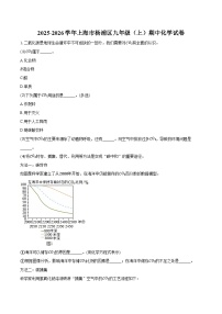2025-2026学年上海市杨浦区九年级（上）期中化学试卷（含答案）
