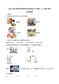 2025-2026学年四川省泸州市泸县五中九年级（上）期中化学试卷（含答案）
