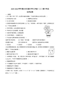 2025-2026学年重庆市巴蜀中学九年级（上）期中化学试卷（含答案）