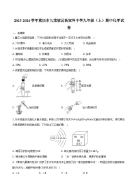 2025-2026学年重庆市九龙坡区杨家坪中学九年级（上）期中化学试卷（含答案）