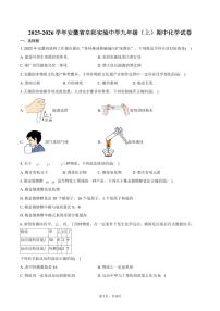 2025-2026学年安徽省阜阳实验中学九年级（上）期中化学试卷（含答案）