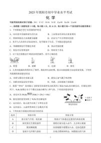 2025年四川省绵阳市中考化学试卷（含答案）