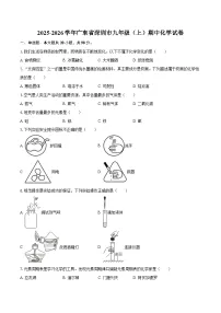 2025-2026学年广东省深圳市九年级（上）期中化学试卷-自定义类型
