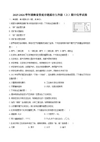 2025-2026学年湖南省娄底市涟源市九年级（上）期中化学试卷-自定义类型