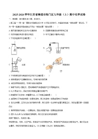 2025-2026学年江苏省南通市海门区九年级（上）期中化学试卷-自定义类型