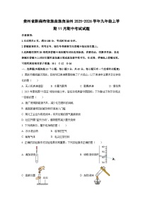 贵州省黔南布依族苗族自治州2025-2026学年九年级上学期11月期中考试化学试题（学生版）