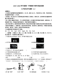 山东省滨州市滨城区2025-2026学年九年级上学期期中考试化学试卷（有答案）