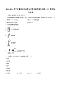 2025-2026学年安徽省安庆市潜山市南片区学校九年级（上）期中化学试卷-自定义类型