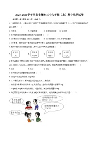 2025-2026学年河北省衡水三中九年级（上）期中化学试卷-自定义类型