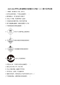 2025-2026学年山东省潍坊市诸城市九年级（上）期中化学试卷-自定义类型