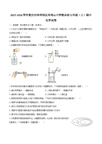 2025-2026学年重庆市沙坪坝区凤鸣山中学教共体九年级（上）期中化学试卷-自定义类型