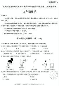 陕西省咸阳市实验中学2025-2026学年九年级上学期第二次质量检测化学试卷（月考）