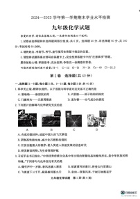 山东省聊城市东昌府区2024—2025学年九年级上学期期末学业水平检测化学试题