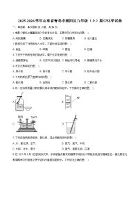 2025-2026学年山东省青岛市城阳区九年级（上）期中化学试卷（有答案和解析）