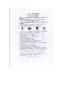 山东省泰安市新泰市2024-2025学年九年级上学期1月期末考试化学试题