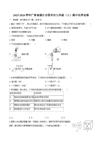 2025-2026学年广东省湛江市雷州市九年级（上）期中化学试卷-自定义类型