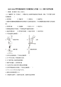 2025-2026学年陕西省汉中市南郑区九年级（上）期中化学试卷-自定义类型