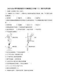 2025-2026学年陕西省汉中市南郑区九年级（上）期中化学试卷-自定义类型