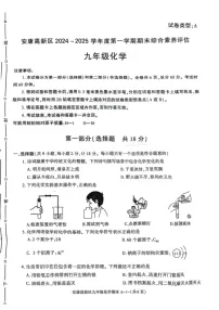 陕西省安康市2024-2025学年九年级上学期1月期末考试化学试题