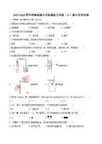 2025-2026学年河南省商丘市柘城县九年级（上）期中化学试卷-自定义类型