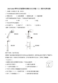 2025-2026学年江苏省泰州市靖江市九年级（上）期中化学试卷-自定义类型