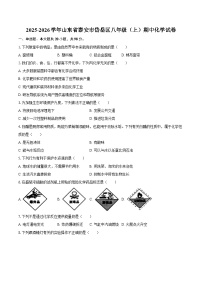 2025-2026学年山东省泰安市岱岳区八年级（上）期中化学试卷-自定义类型