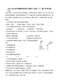 2025-2026学年湖南省娄底市双峰区九年级（上）期中化学试卷（含答案）