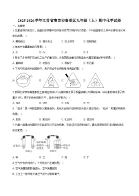 2025-2026学年江苏省南京市秦淮区九年级（上）期中化学试卷（含答案）