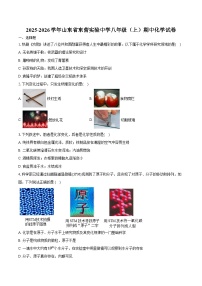 2025-2026学年山东省东营实验中学八年级（上）期中化学试卷（含答案）