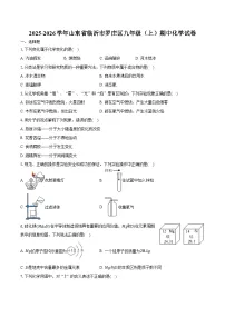 2025-2026学年山东省临沂市罗庄区九年级（上）期中化学试卷（含答案）