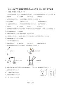 2025-2026学年安徽省蚌埠市蚌山区九年级（上）期中化学试卷（含答案）