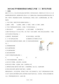 2025-2026学年湖南省娄底市双峰区九年级（上）期中化学试卷（含答案）