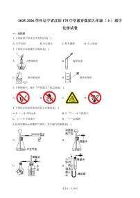 2025-2026学年辽宁省沈阳175中学教育集团九年级（上）期中化学试卷（含答案）