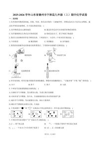 2025-2026学年山东省德州市宁津县九年级（上）期中化学试卷（含答案）