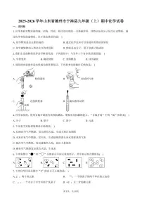2025-2026学年山东省德州市宁津县九年级（上）期中化学试卷（含答案）