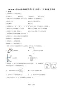 2025-2026学年山东省临沂市罗庄区九年级（上）期中化学试卷（含答案）