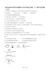 2025-2026学年四川省成都七中育才学校九年级（上）期中化学试卷（含答案）