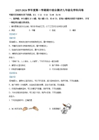 广东省潮州市潮安区2025-2026学年九年级上学期11月期中化学试题(有答案和解析）