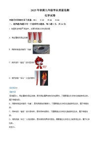 河南省南阳市镇平县2025-2026学年九年级上学期期中考试化学试卷(有答案和解析）
