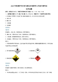 四川省泸州市龙马潭区期中联考2025-2026学年九年级上学期11月期中化学试题（有答案和解析）