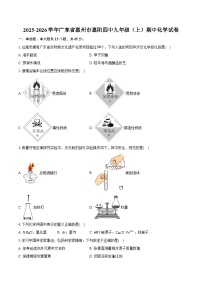 2025-2026学年广东省惠州市惠阳四中九年级（上）期中化学试卷（含答案）