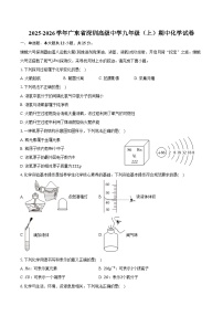 2025-2026学年广东省深圳高级中学九年级（上）期中化学试卷（含答案）
