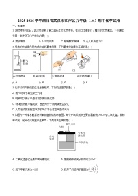 2025-2026学年湖北省武汉市江岸区九年级（上）期中化学试卷（含答案）