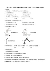 2025-2026学年山东省菏泽市成武县九年级（上）期中化学试卷（含答案）
