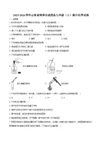 2025-2026学年山东省菏泽市成武县九年级（上）期中化学试卷（含答案）