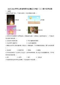 2025-2026学年山东省菏泽市定陶区九年级（上）期中化学试卷（含答案）