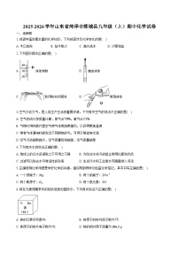 2025-2026学年山东省菏泽市鄄城县九年级（上）期中化学试卷（含答案）