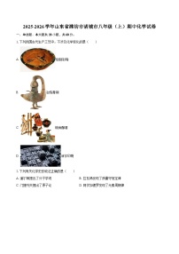2025-2026学年山东省潍坊市诸城市八年级（上）期中化学试卷-自定义类型